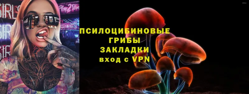 Галлюциногенные грибы Psilocybe  Нефтегорск 